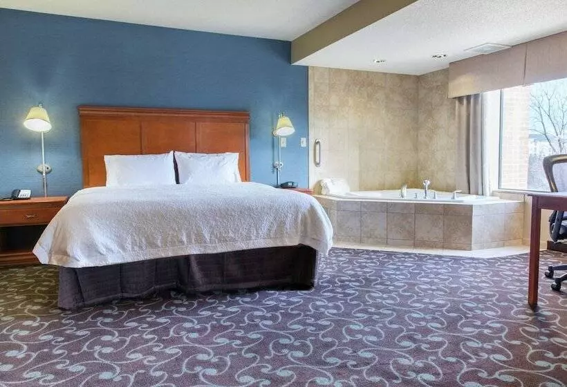 酒店 Hampton Inn & Suites Chicago Deer Park