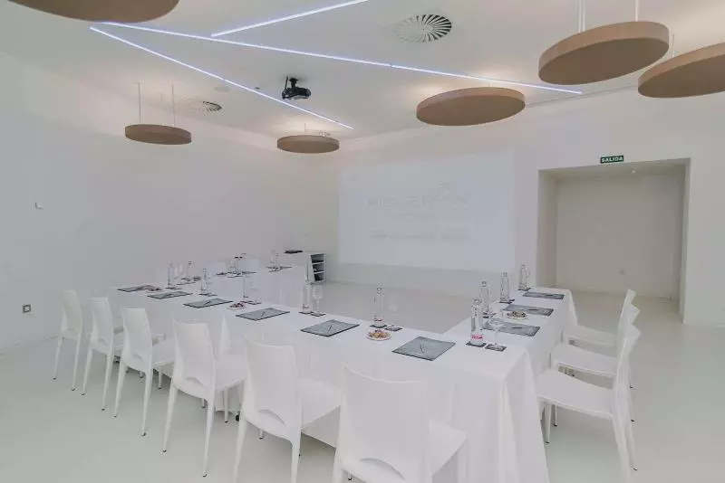 Higueron Hotel Malaga, Curio Collection By Hilton