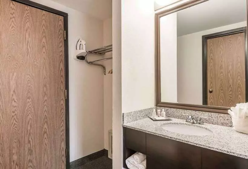 酒店 Wyndham Garden Williamsburg Busch Gardens Area