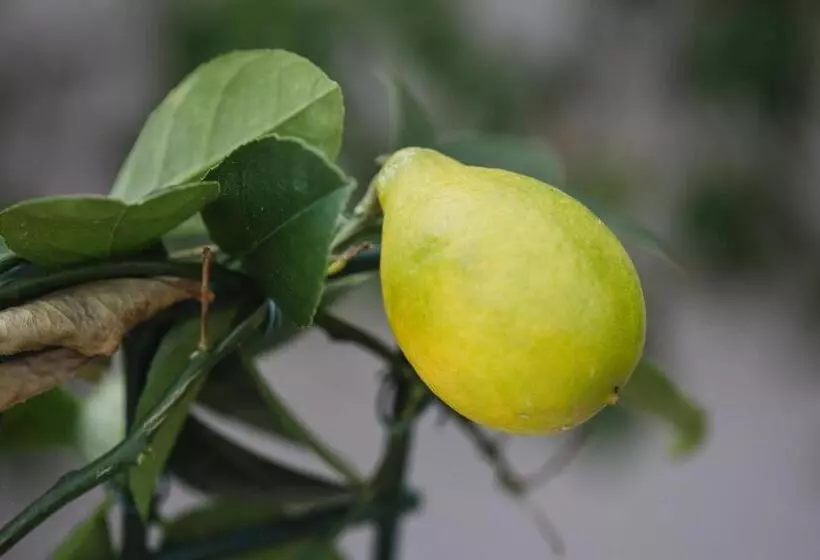 Hotelli The George Inn