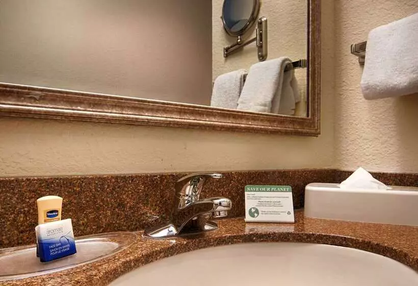 ホテル Best Western Plus Newport News