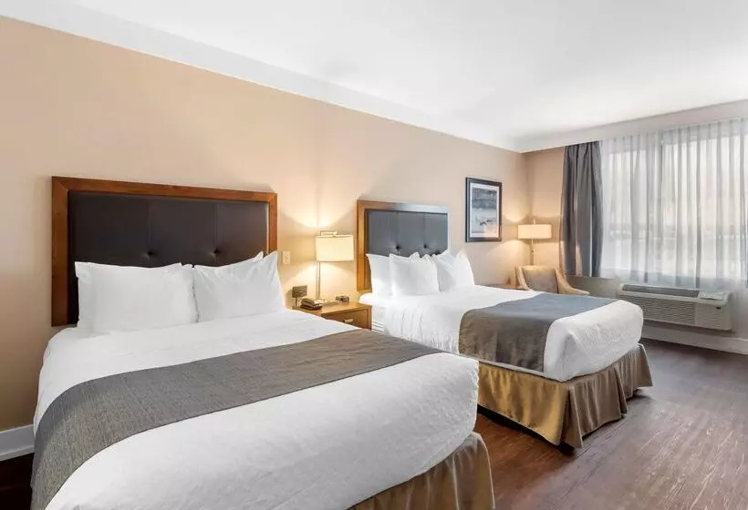 호텔 Best Western Plus Revelstoke