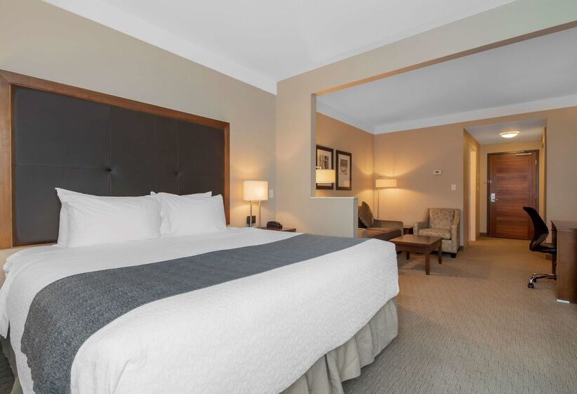 هتل Best Western Plus Revelstoke