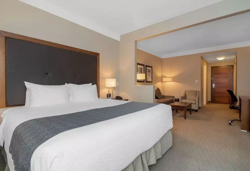 호텔 Best Western Plus Revelstoke