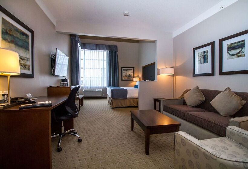 هتل Best Western Plus Revelstoke