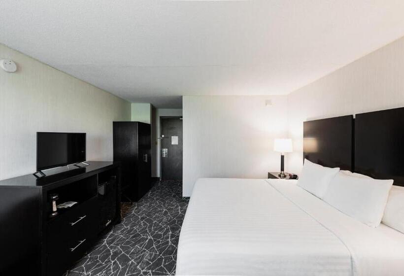 호텔 Garden Executive