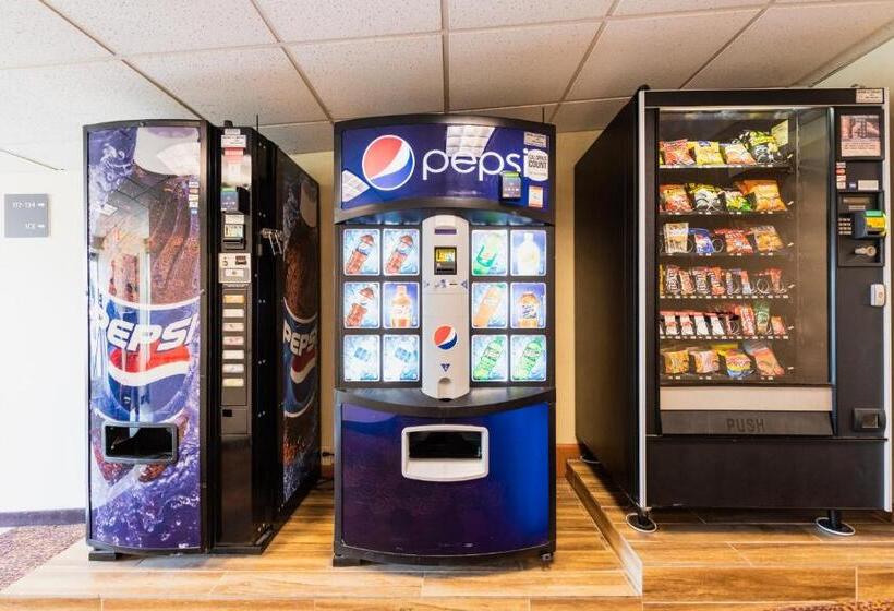 호텔 Garden Executive