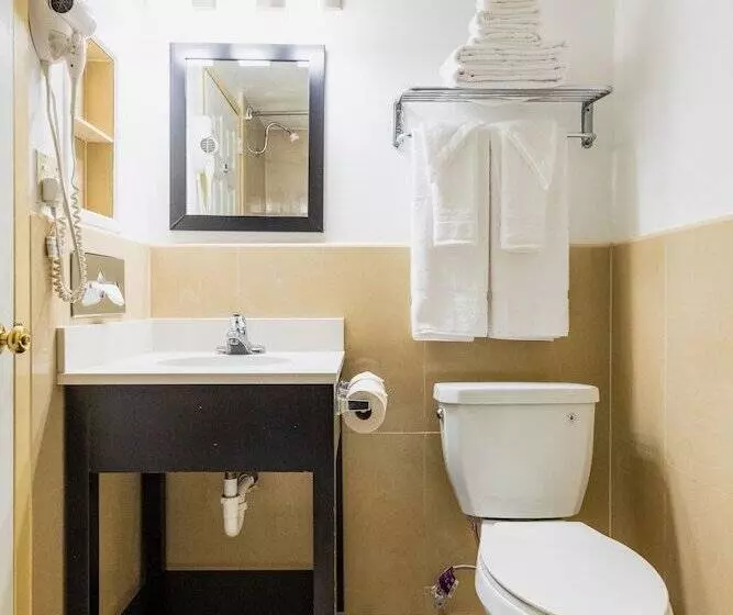 ホテル Garden Executive