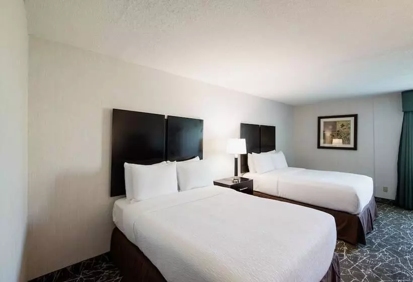 ホテル Garden Executive