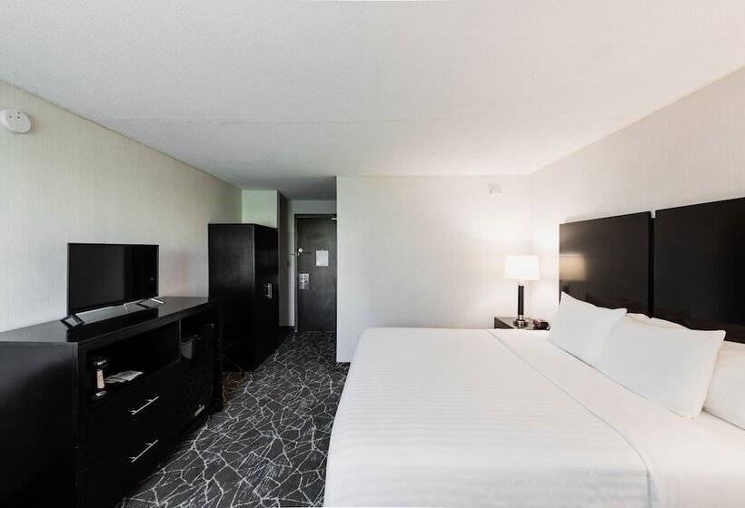 호텔 Garden Executive