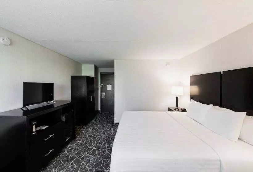 ホテル Garden Executive