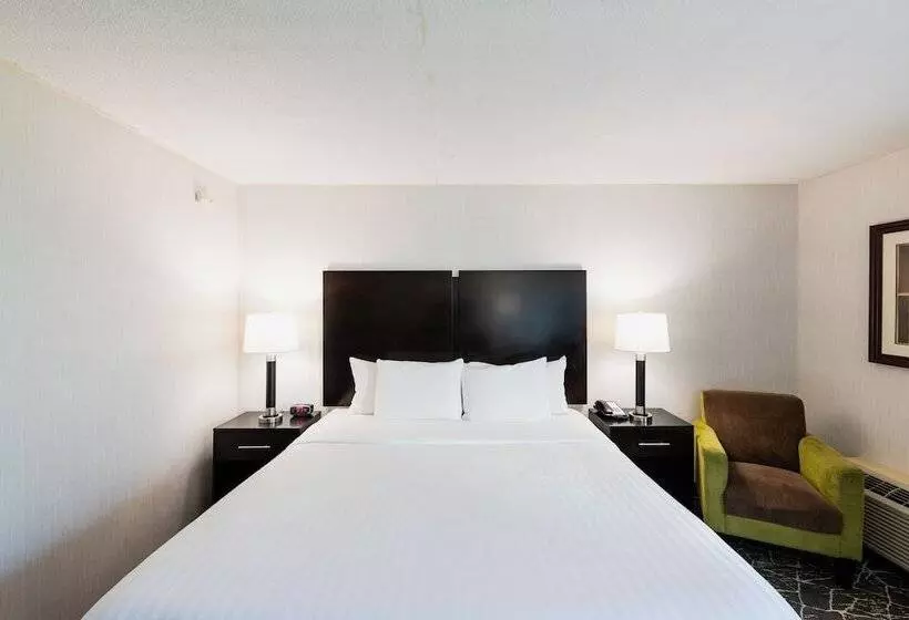 ホテル Garden Executive