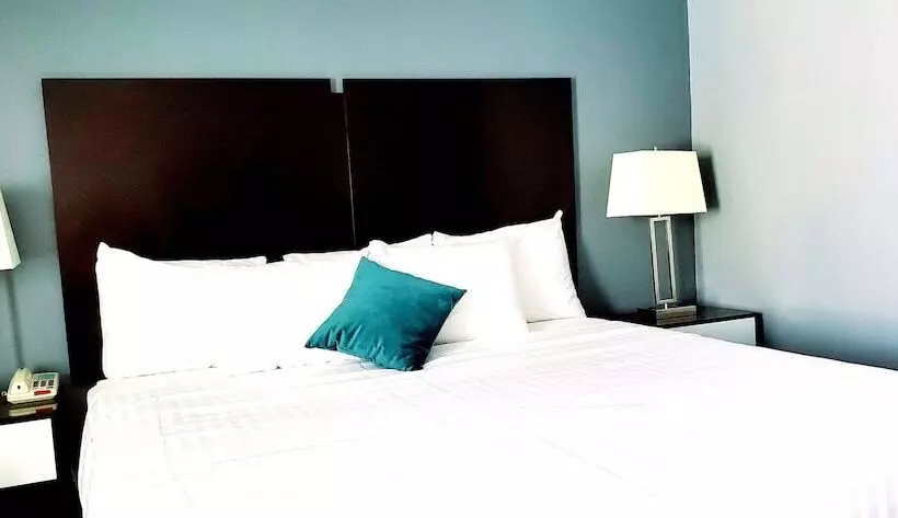 ホテル Garden Executive