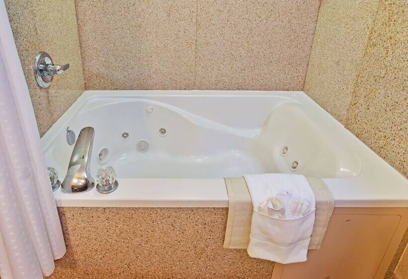 호텔 Holiday Inn Express & Suites Dyersburg, An Ihg