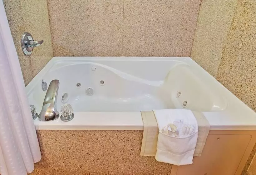 호텔 Holiday Inn Express & Suites Dyersburg, An Ihg