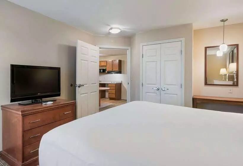 酒店 Suburban Studios Waterloo