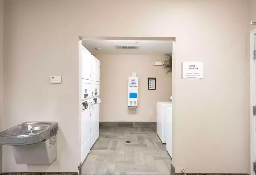 酒店 Suburban Studios Waterloo