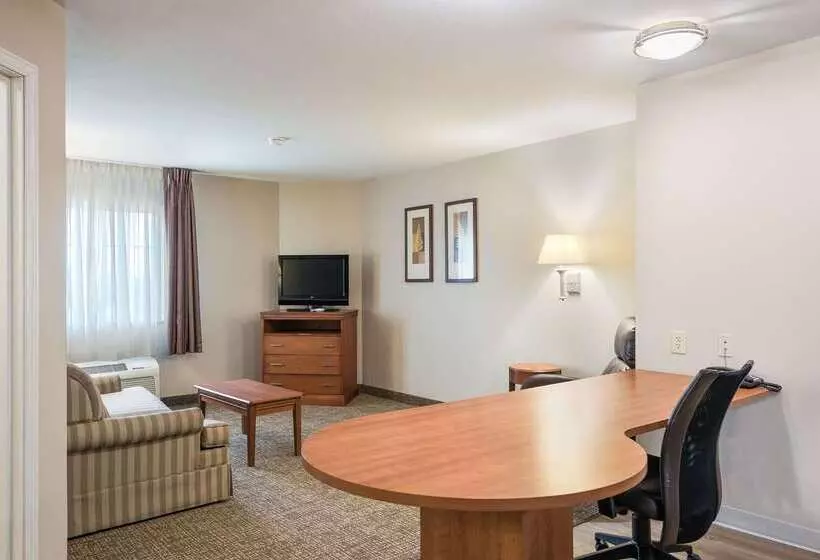 酒店 Suburban Studios Waterloo