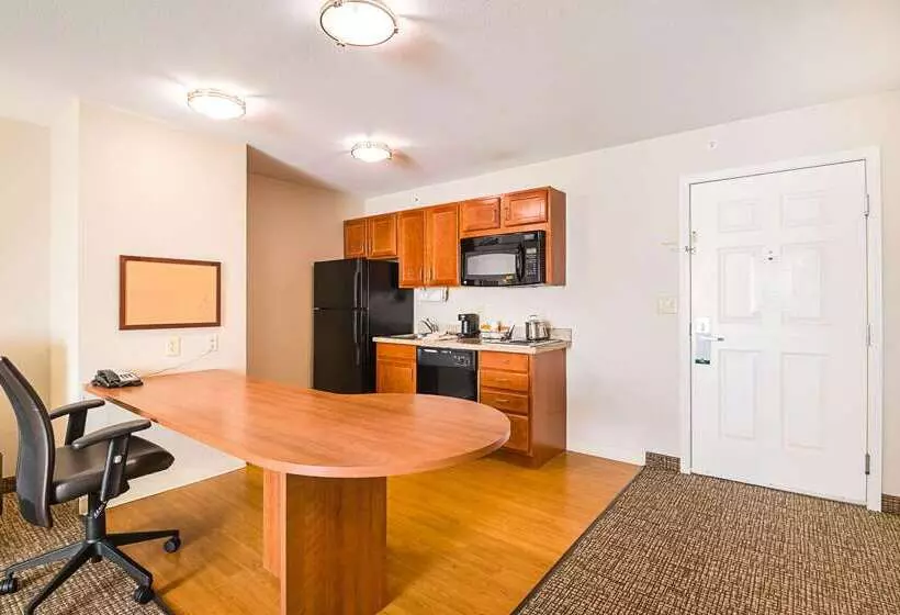 酒店 Suburban Studios Waterloo