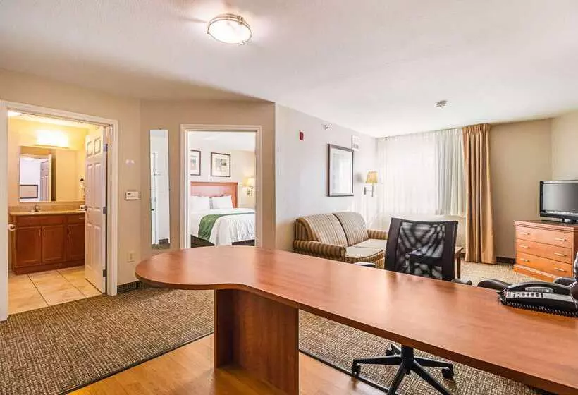 酒店 Suburban Studios Waterloo