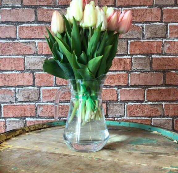 הוסטל Loch Ness Backpackers Lodge