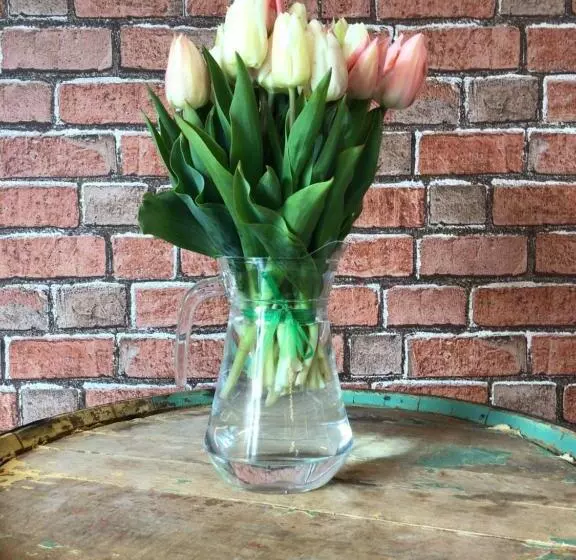 فندق صغير Loch Ness Backpackers Lodge