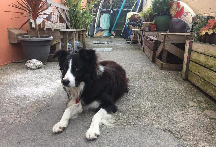 호스텔 Newquay International Backpackers