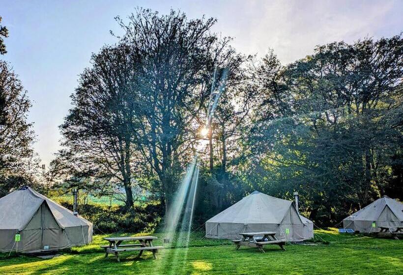 فندق صغير Yha Penzance