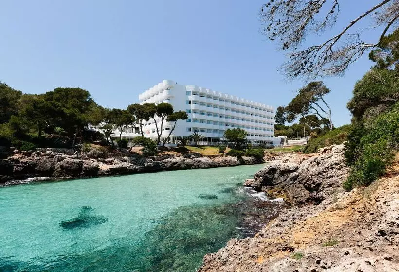 Aluasoul Mallorca Resort  Adults Only