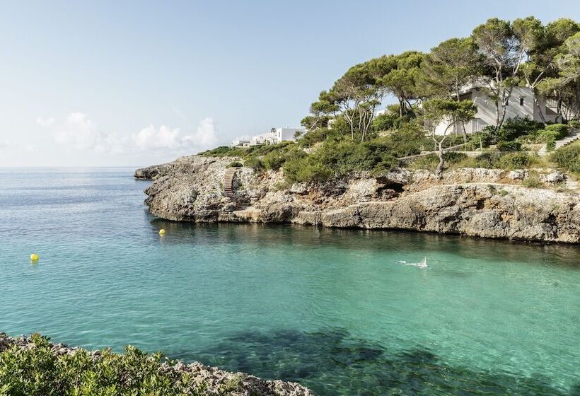 Aluasoul Mallorca Resort Adults Only