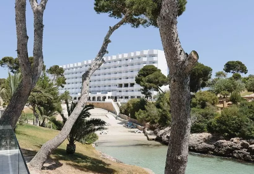 Aluasoul Mallorca Resort  Adults Only