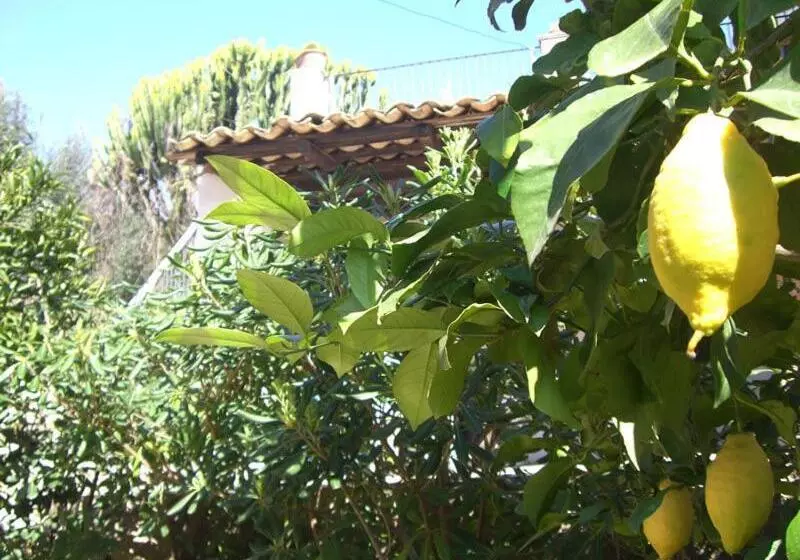 Aamiaismajoitus (B&B) Eurialo Green Suites