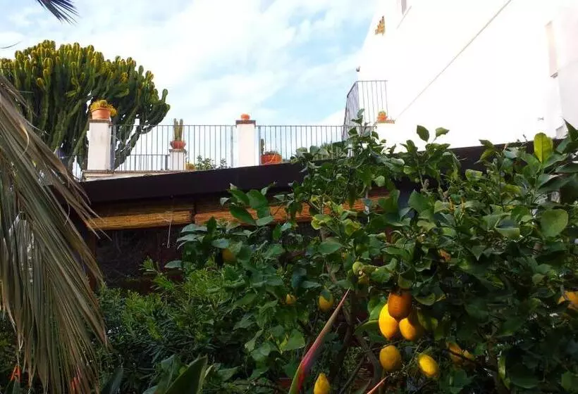 Aamiaismajoitus (B&B) Eurialo Green Suites