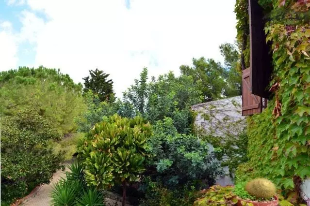 Aamiaismajoitus (B&B) Eurialo Green Suites