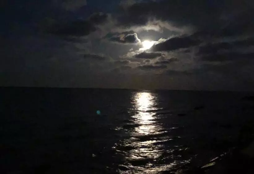 Bed & Breakfast De Nittis