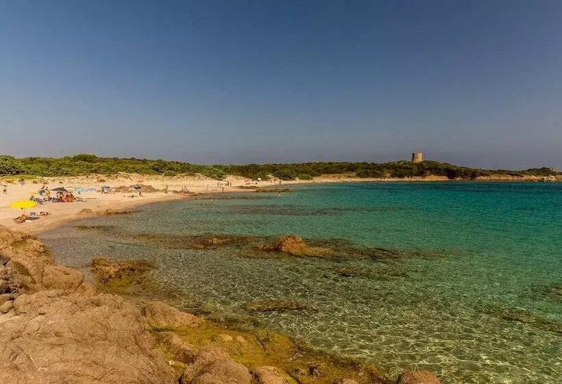 Petri Marini Hotel & Resort