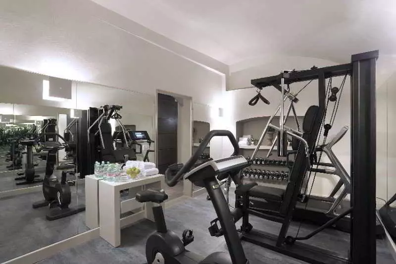 Trevi Palace Luxury Inn