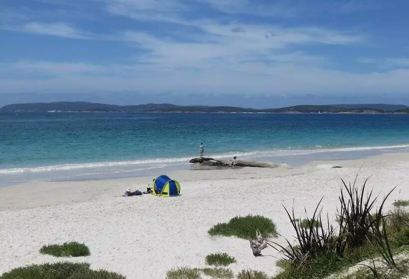 Albany Motel & Apartments