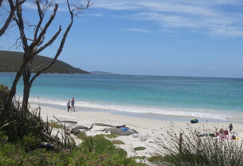 Albany Motel & Apartments