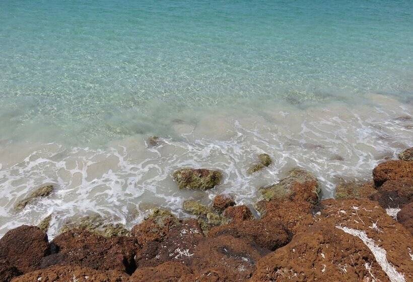 Albany Motel & Apartments