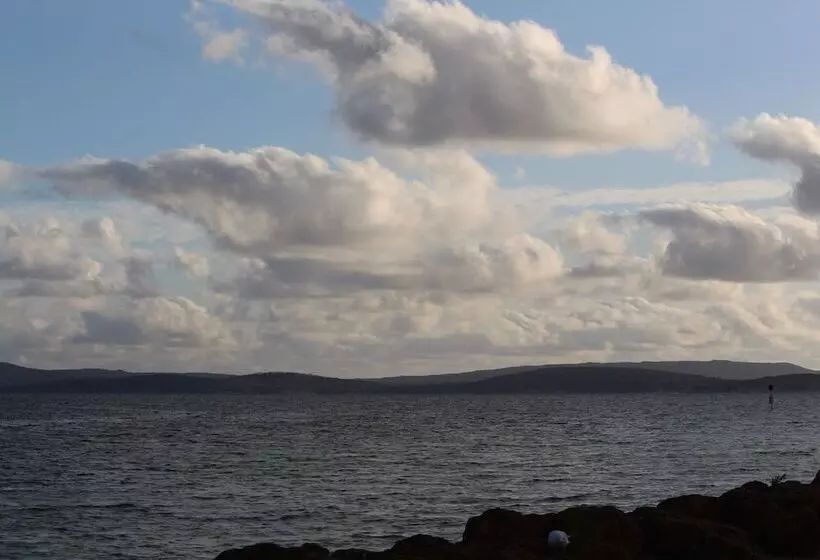 Albany Motel & Apartments