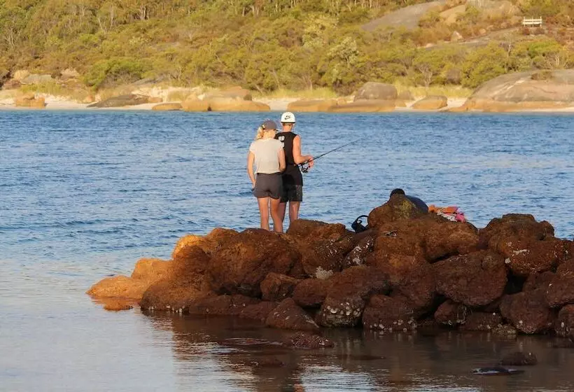 Albany Motel & Apartments