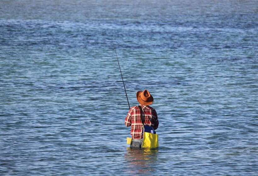 Albany Motel & Apartments
