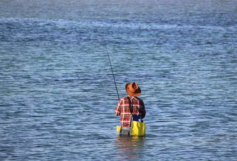 Albany Motel & Apartments
