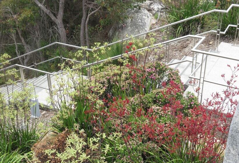 Albany Motel & Apartments