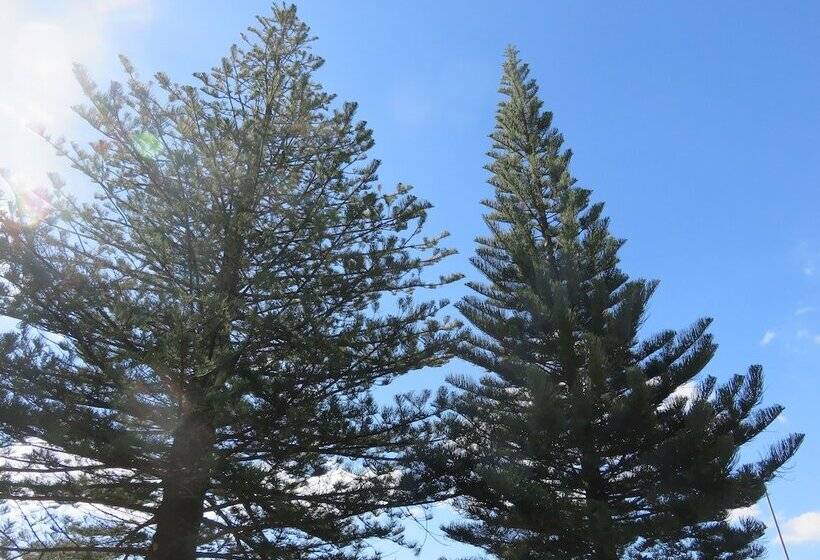 Albany Motel & Apartments