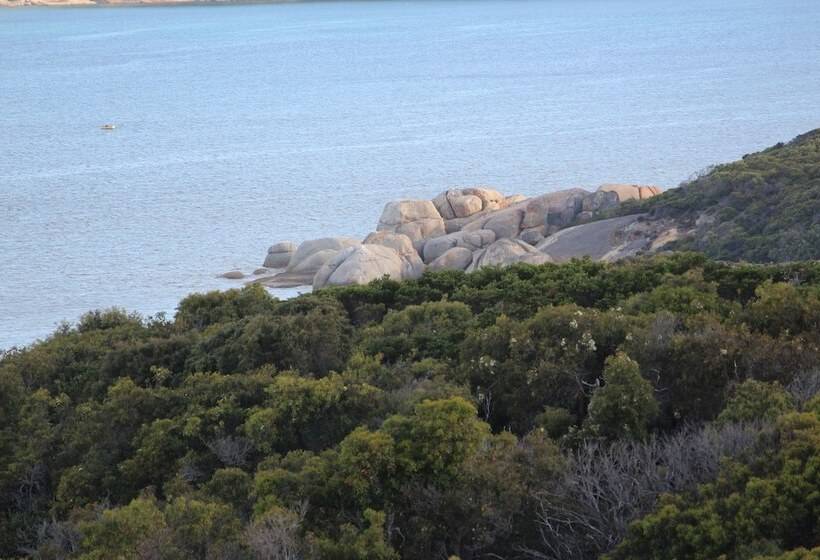 Albany Motel & Apartments