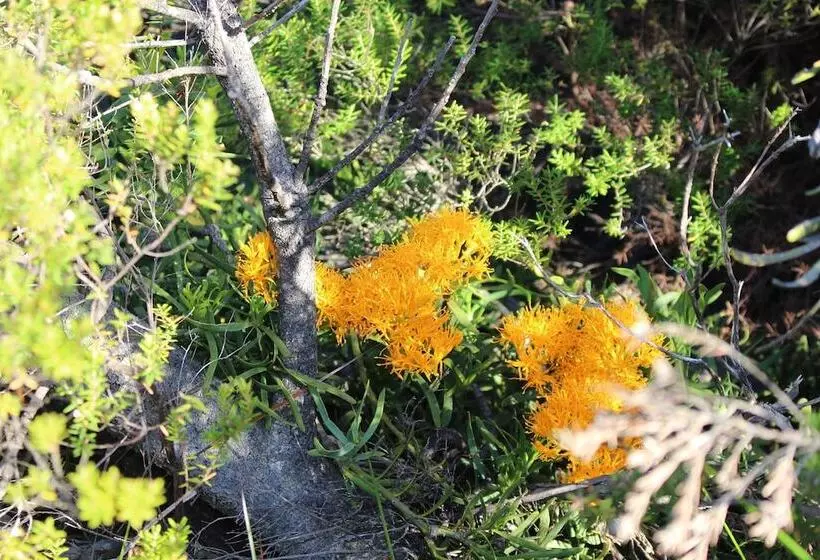 Albany Motel & Apartments