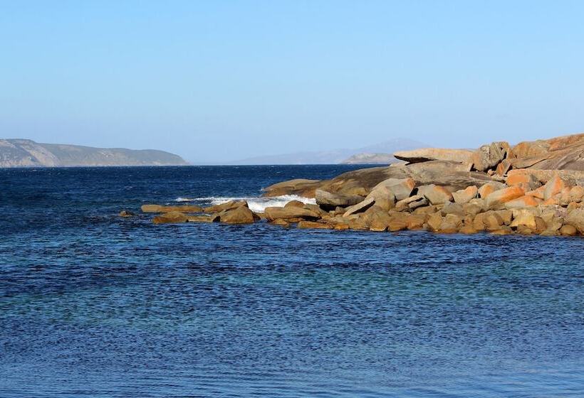 Albany Motel & Apartments