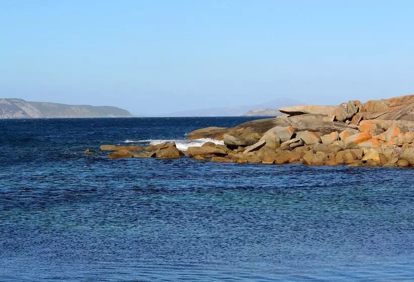 Albany Motel & Apartments